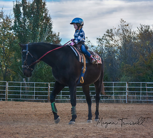 Equestrian (5)