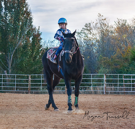 Equestrian (4)