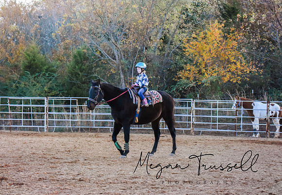 Equestrian (2)