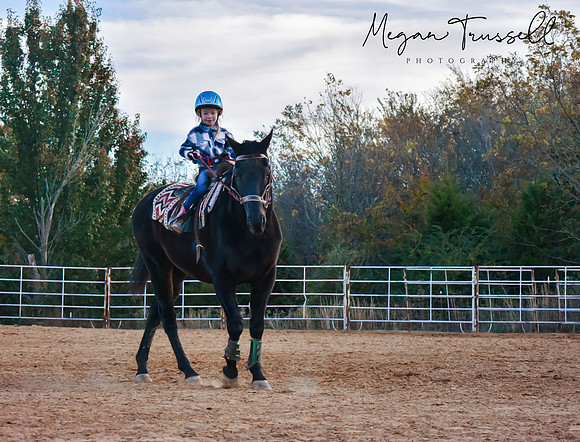 Equestrian (3)
