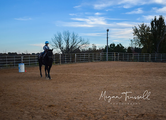 Equestrian (10)