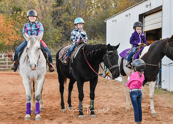 Equestrian (9)