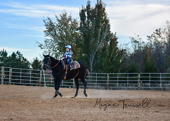 Equestrian (7)