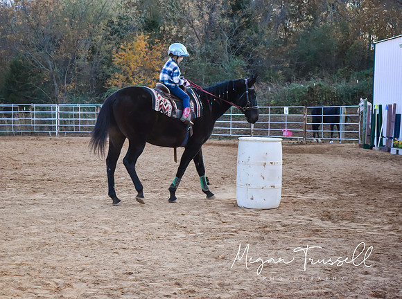 Equestrian (11)