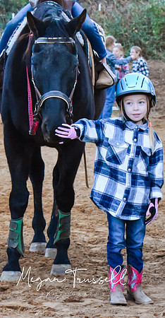 Equestrian (12)