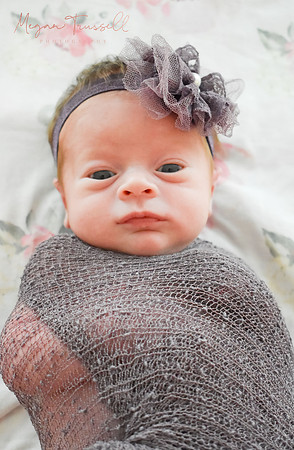 Newborn (25)