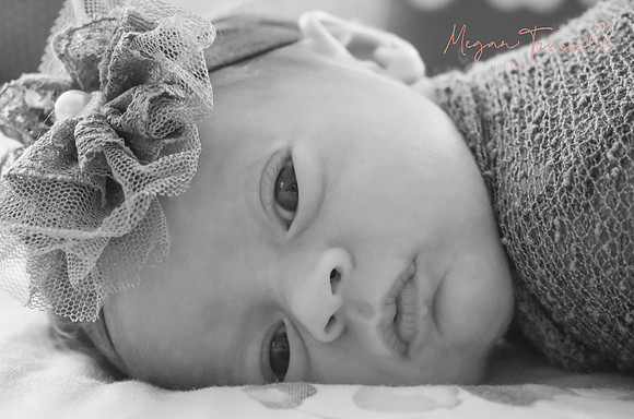 Newborn (31)