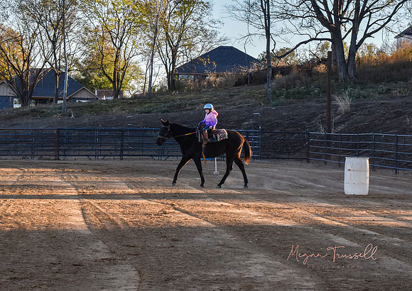 Equestrian (4)