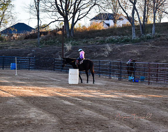 Equestrian (3)