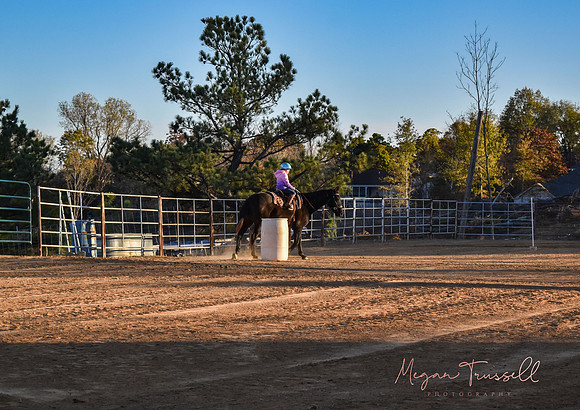 Equestrian (2)