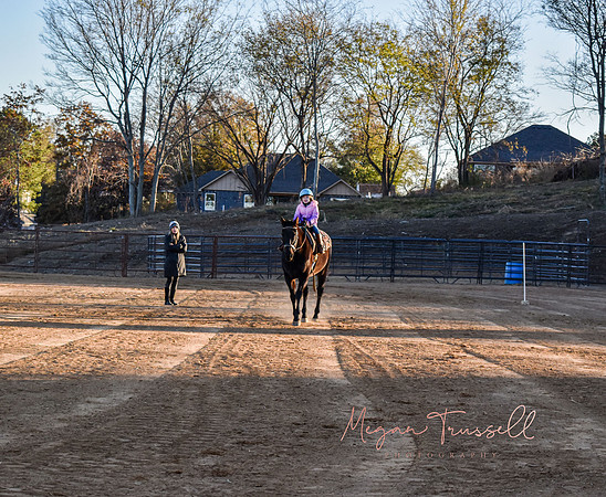 Equestrian (5)