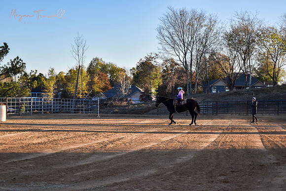 Equestrian (1)