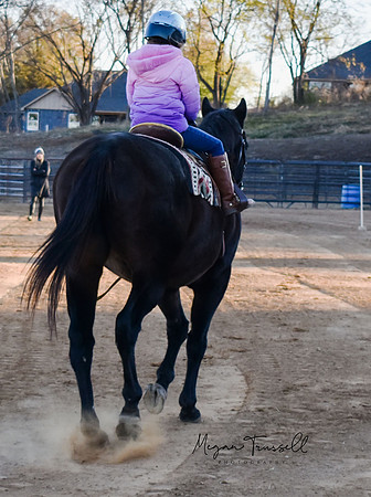 Equestrian (8)
