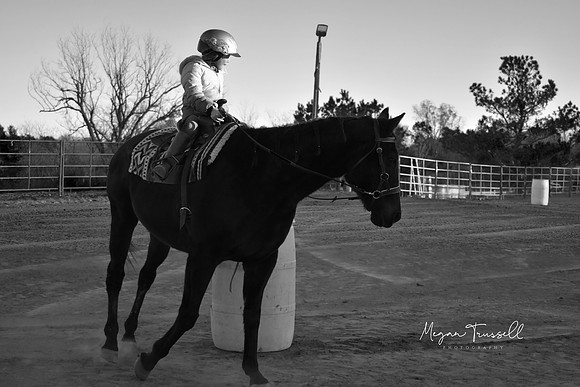 Equestrian (7)