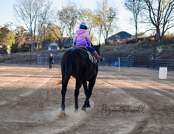 Equestrian (9)