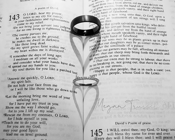 Wedding Bands (1)