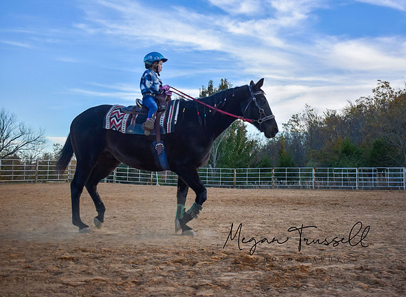 Equestrian (1)