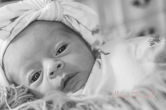 Newborn (15)
